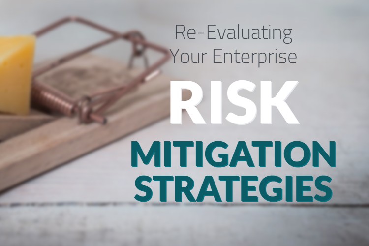 Enterprise Risk Mitigation Strategies
